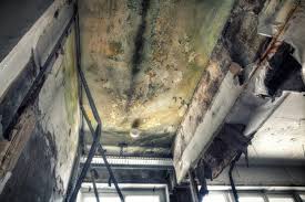 Best Forensic Mold Investigation in Chattahoochee Hills, GA